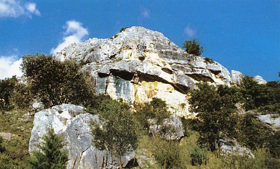 Η νότια πλαγιά του λόφου  «Βλασελνίκου»  στην τοποθεσία «Φανερωμένη» της Οινούσας