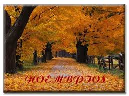 ΦΩΤΟΓΡΑΦΙΑ ΔΑΣΟΥΣ ΜΕ ΚΙΤΡΙΝΑ ΦΥΛΛΑ