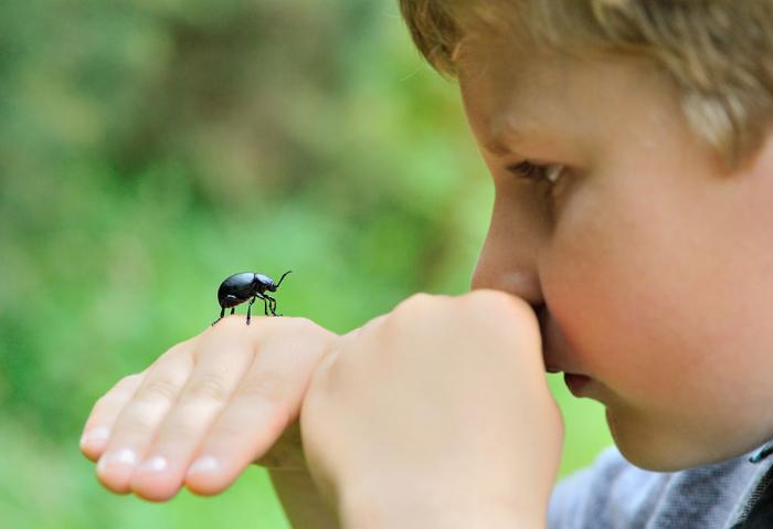 παιδάκι με έντομο
