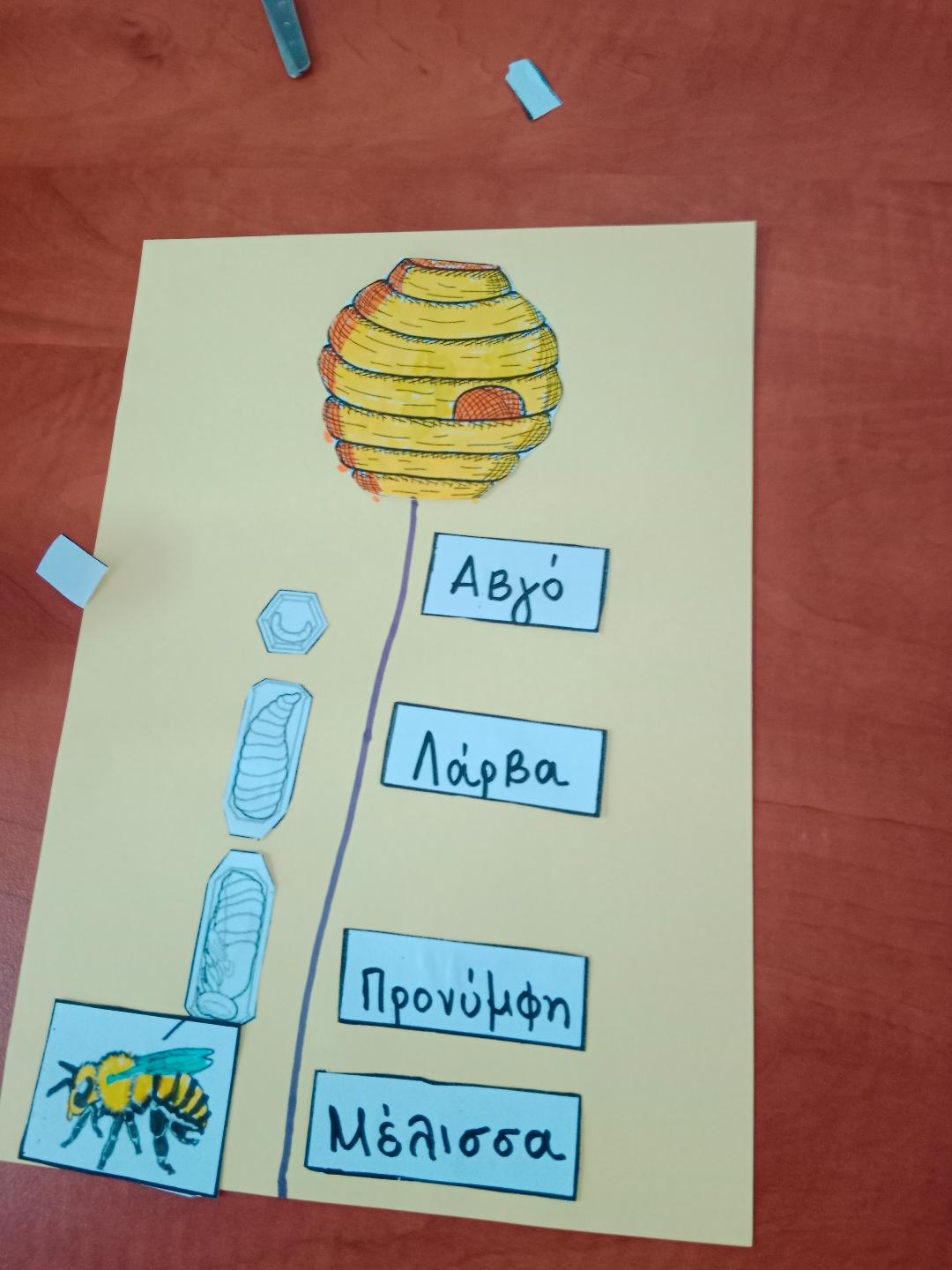 φωτογραφία από τη δράση