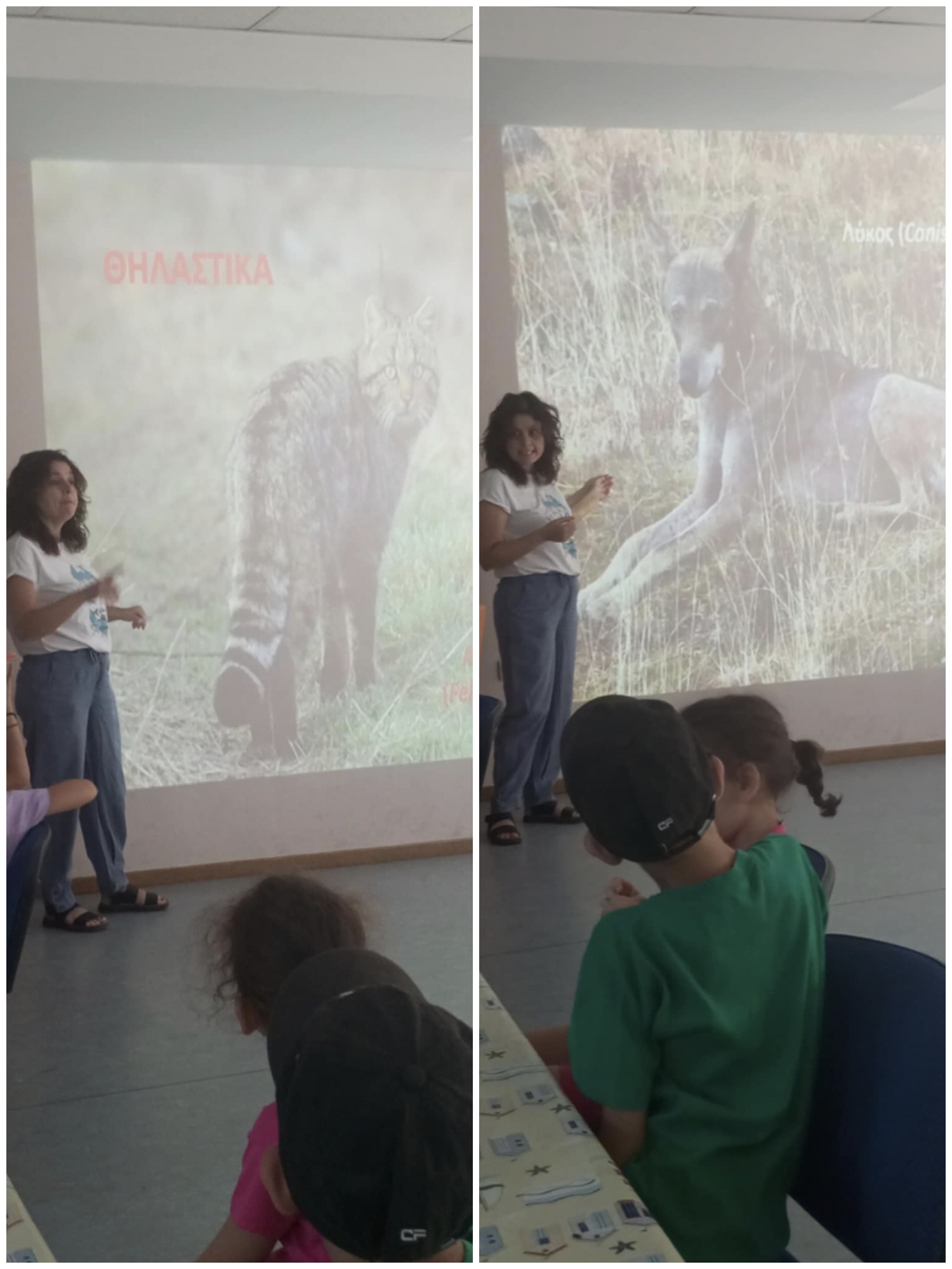 φωτογραφία από τη δράση