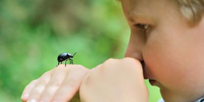 παιδάκι με έντομο